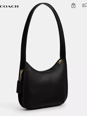Coach Curve Zip Bag NWT ⭐️⭐️⭐️